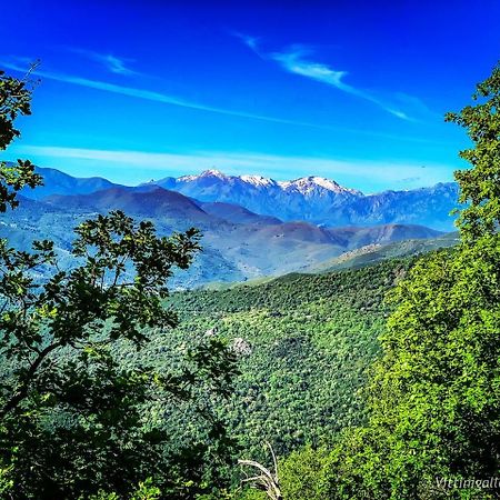Nuits Magiques Au Village Entre Mer Et Montagnes Bigorno ภายนอก รูปภาพ