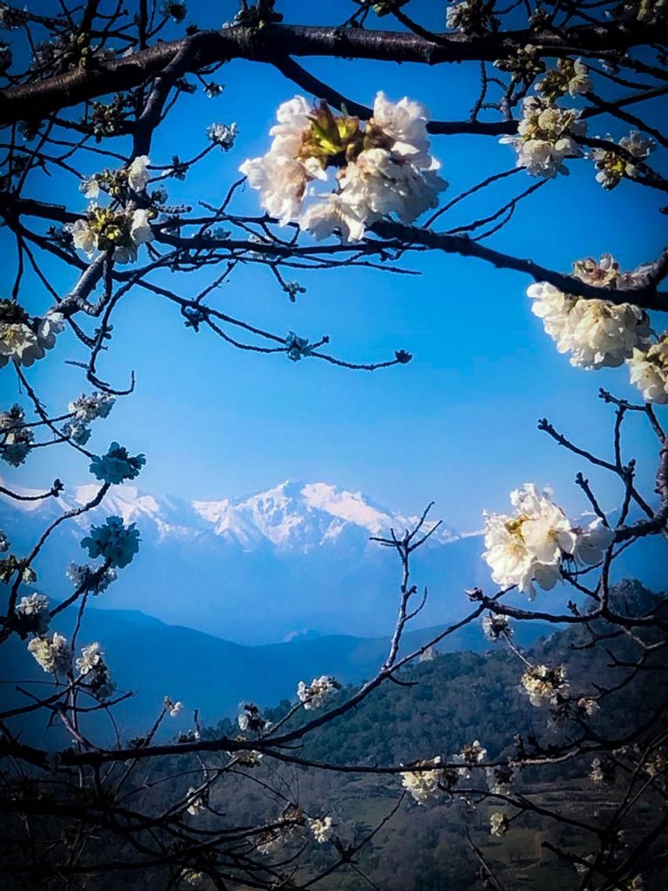 Nuits Magiques Au Village Entre Mer Et Montagnes Bigorno ภายนอก รูปภาพ