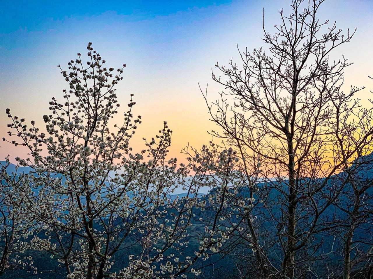 Nuits Magiques Au Village Entre Mer Et Montagnes Bigorno ภายนอก รูปภาพ