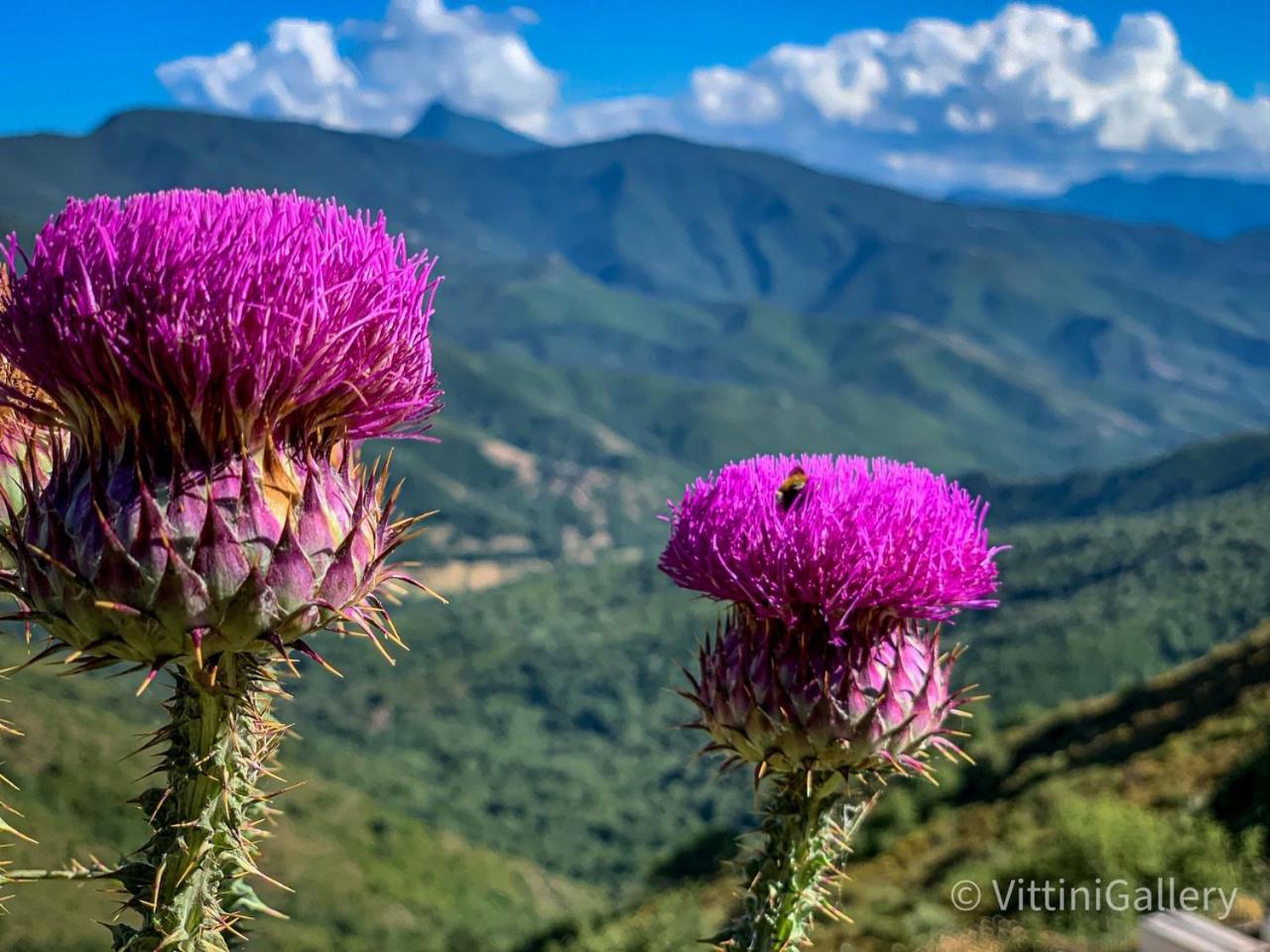 Nuits Magiques Au Village Entre Mer Et Montagnes Bigorno ภายนอก รูปภาพ