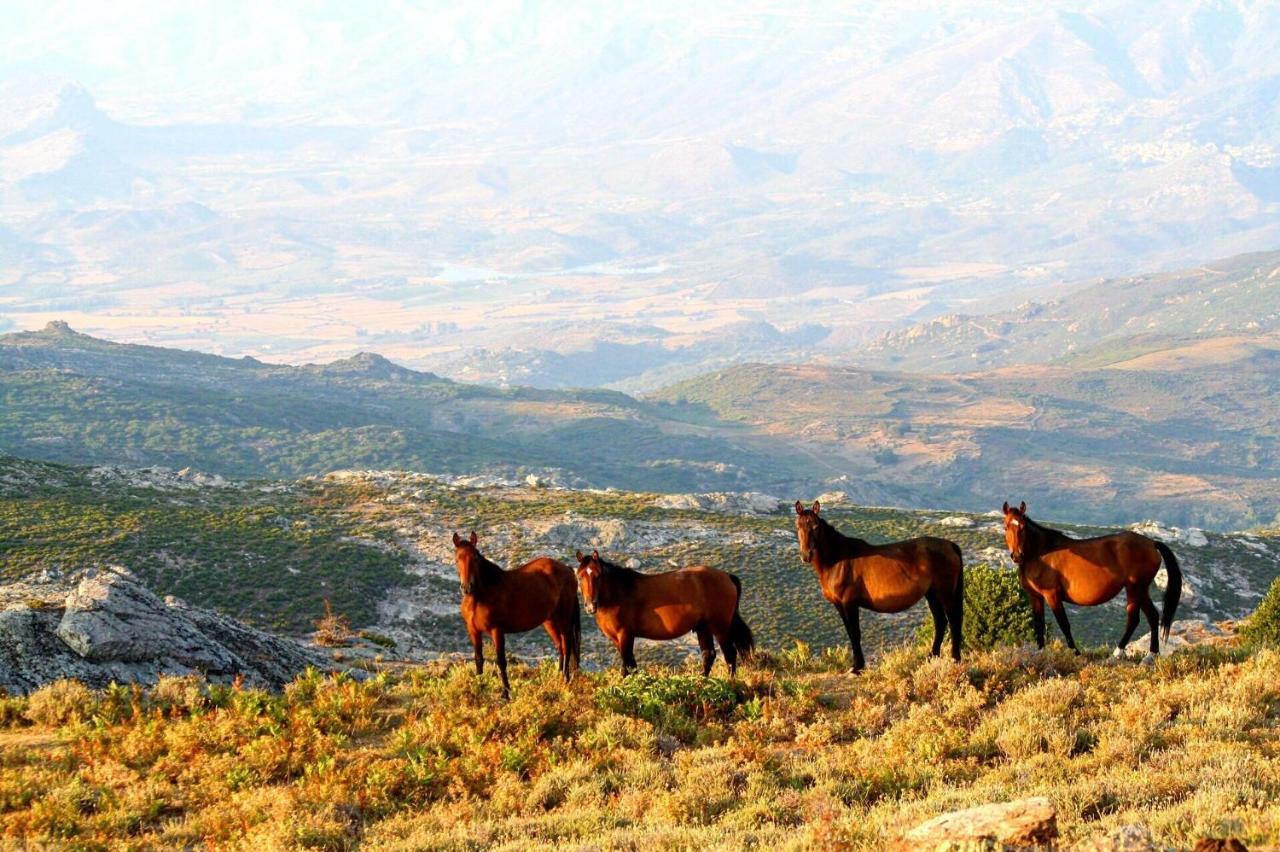 Nuits Magiques Au Village Entre Mer Et Montagnes Bigorno ภายนอก รูปภาพ