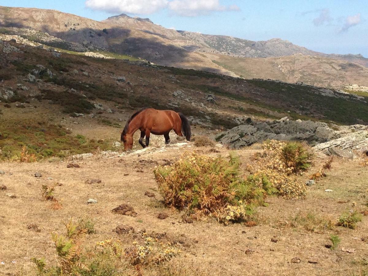 Nuits Magiques Au Village Entre Mer Et Montagnes Bigorno ภายนอก รูปภาพ