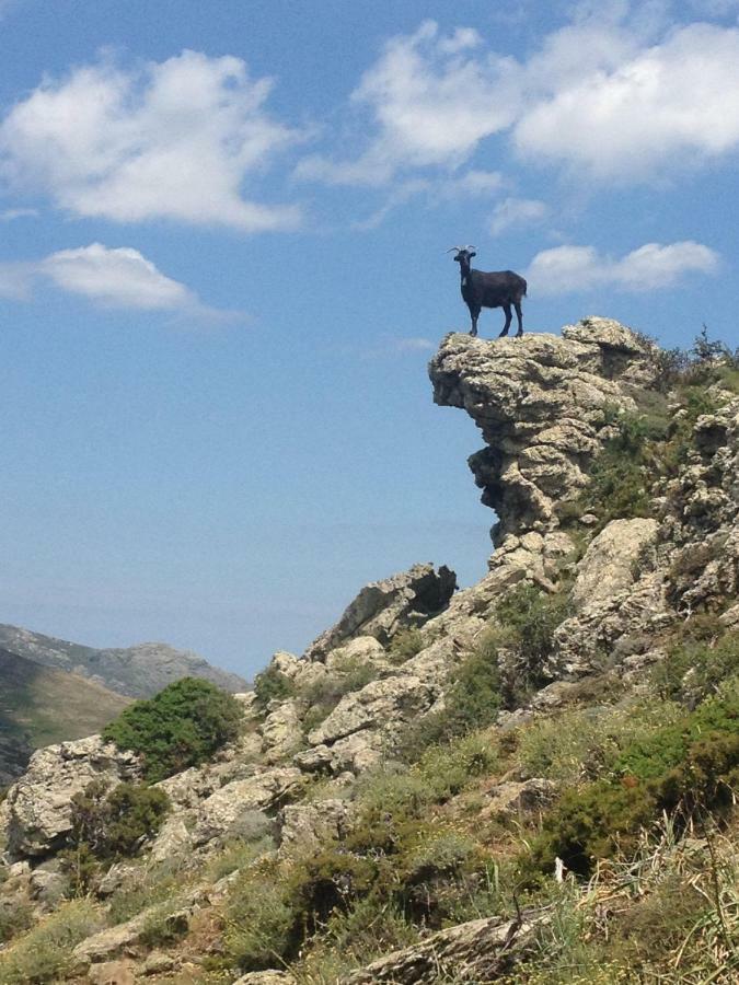 Nuits Magiques Au Village Entre Mer Et Montagnes Bigorno ภายนอก รูปภาพ